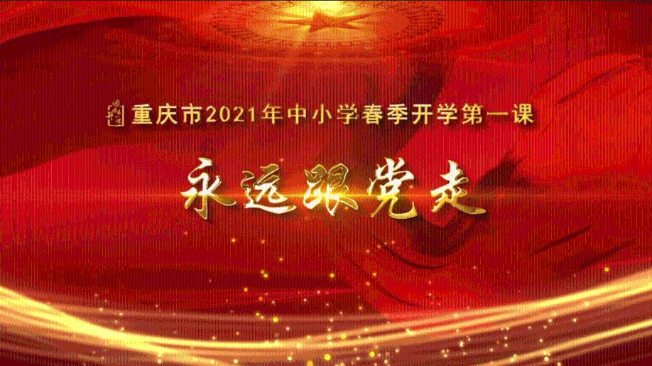雨后盛放
